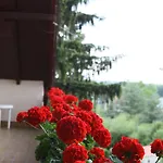 Erika Apartmanhazak * Héviz
