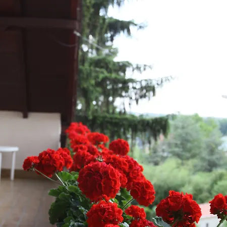 Erika Apartmanhazak * Hévíz